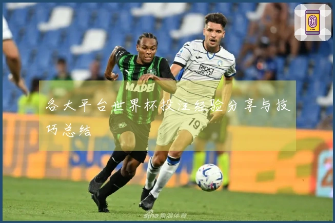 各大平台世界杯投注经验分享与技巧总结