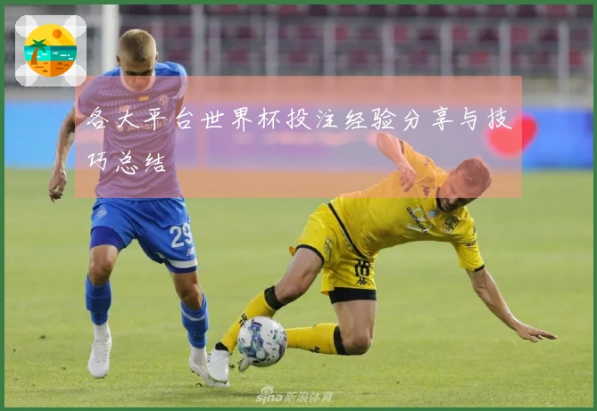 各大平台世界杯投注经验分享与技巧总结