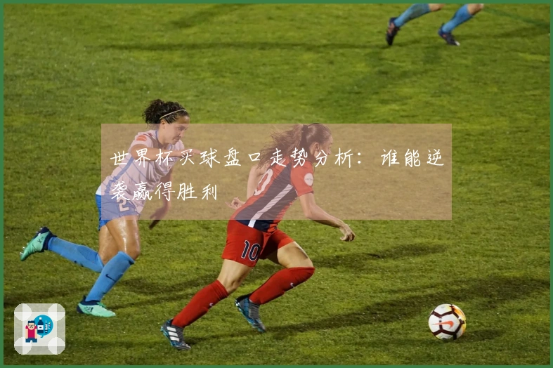 世界杯买球盘口走势分析：谁能逆袭赢得胜利