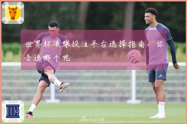世界杯滚球投注平台选择指南，你会选哪个呢