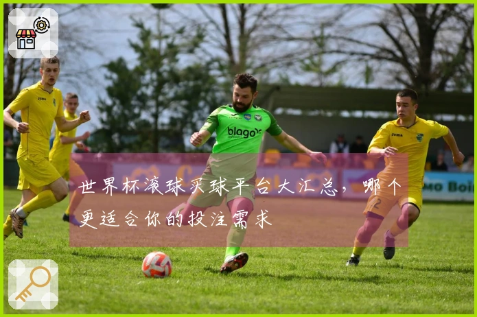 世界杯滚球买球平台大汇总，哪个更适合你的投注需求