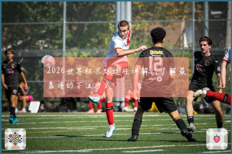 2026世界杯买球途径详解，了解最靠谱的下注方式