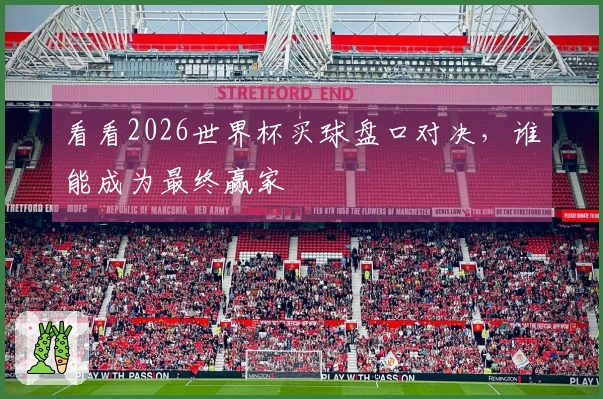 看看2026世界杯买球盘口对决，谁能成为最终赢家