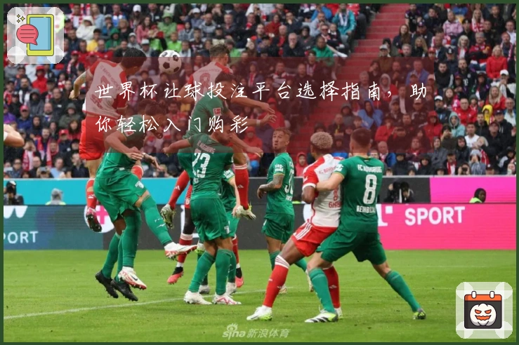 世界杯让球投注平台选择指南，助你轻松入门购彩