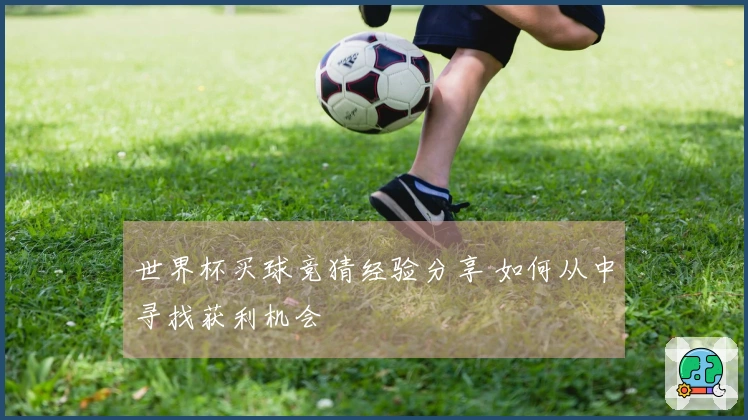 世界杯买球竞猜经验分享 如何从中寻找获利机会