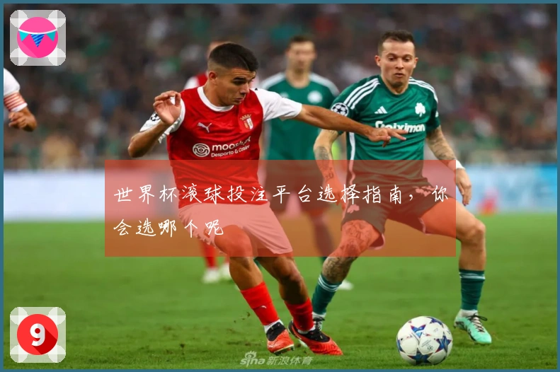 世界杯滚球投注平台选择指南，你会选哪个呢