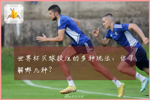 世界杯买球投注的多种玩法，你了解哪几种？
