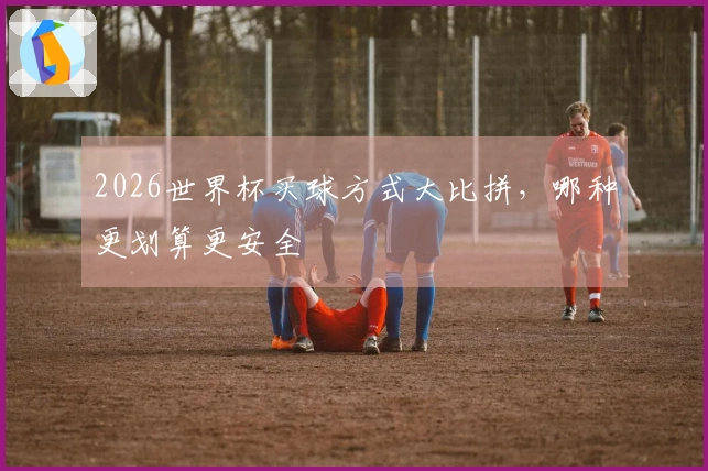 2026世界杯买球方式大比拼，哪种更划算更安全