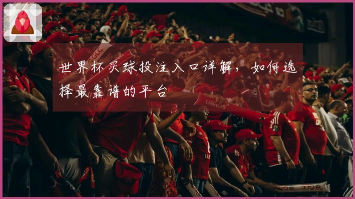 世界杯买球投注入口详解，如何选择最靠谱的平台