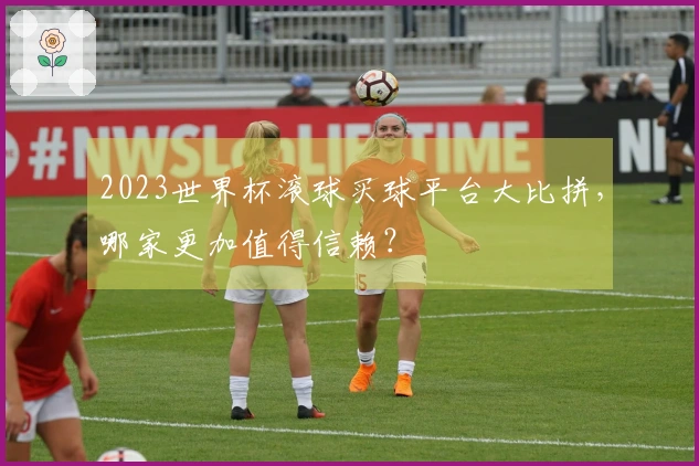 2023世界杯滚球买球平台大比拼，哪家更加值得信赖？