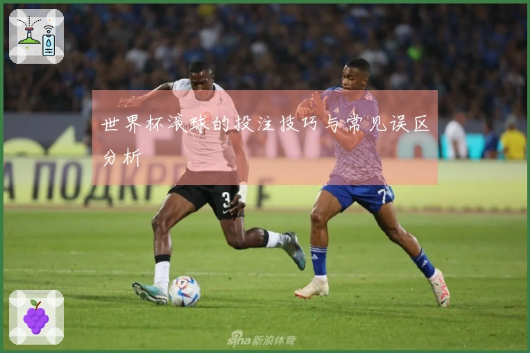 世界杯滚球的投注技巧与常见误区分析