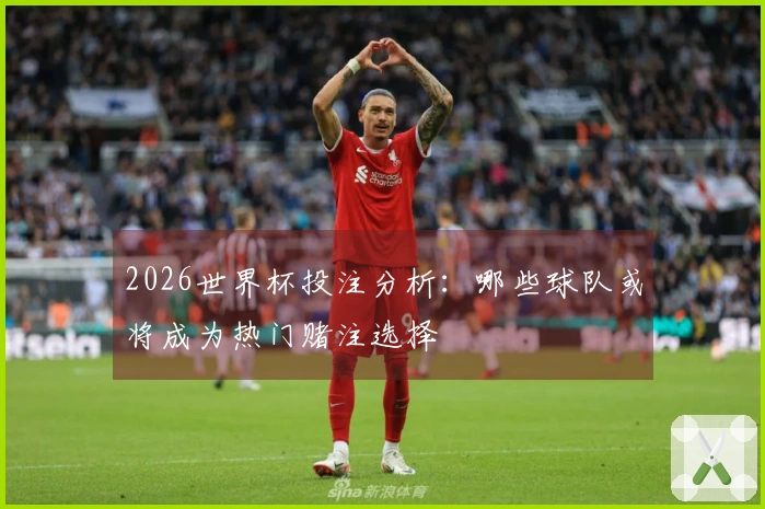 2026世界杯投注分析：哪些球队或将成为热门赌注选择