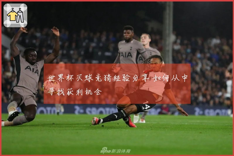 世界杯买球竞猜经验分享 如何从中寻找获利机会
