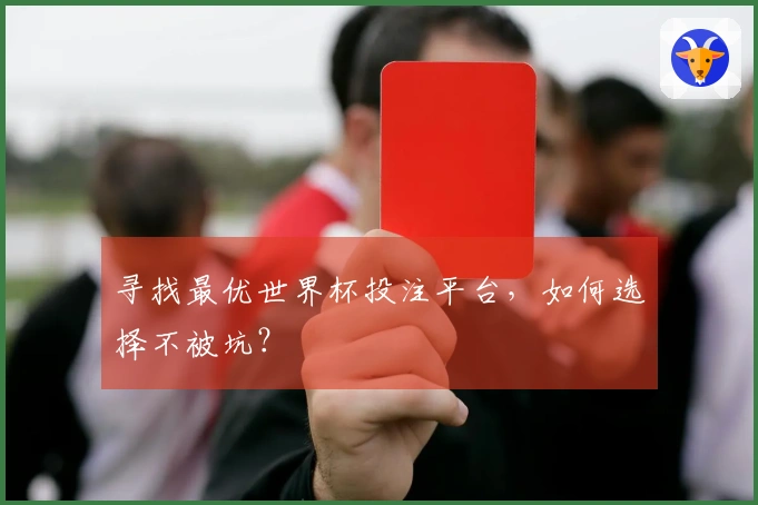 寻找最优世界杯投注平台，如何选择不被坑？