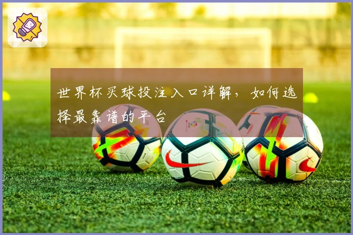 世界杯买球投注入口详解，如何选择最靠谱的平台