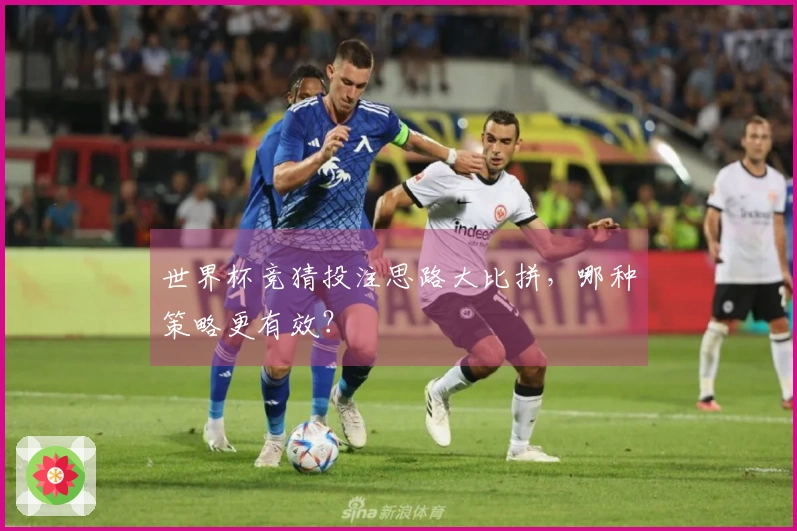 世界杯竞猜投注思路大比拼，哪种策略更有效？